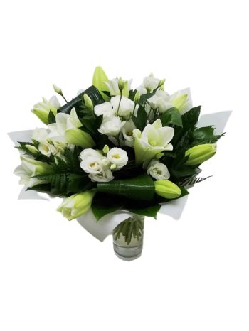 התחלה  חדשה