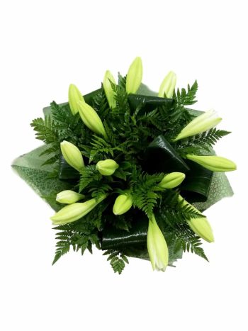 זר שושן צחור