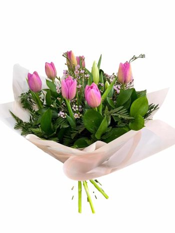 טוליפ בשבילך