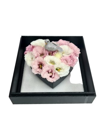 מארז קן של אהבה