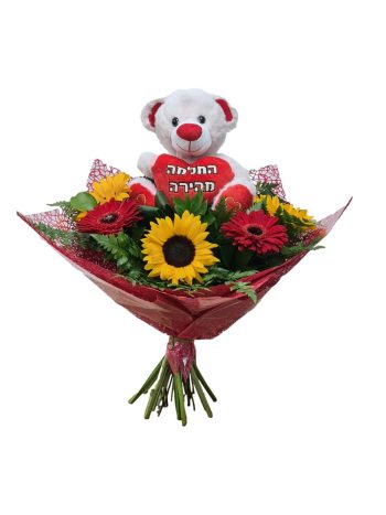 זר החלמה מהירה