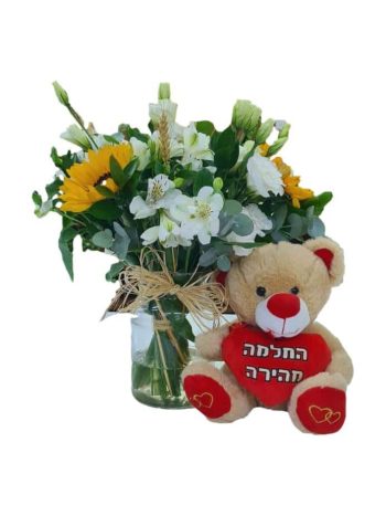 החלמה מהירה