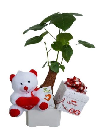 עץ אהבה מתוקה