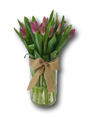 אגרטל נשימת טוליפים