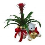 עציץ עם דובי_clipped_rev_1