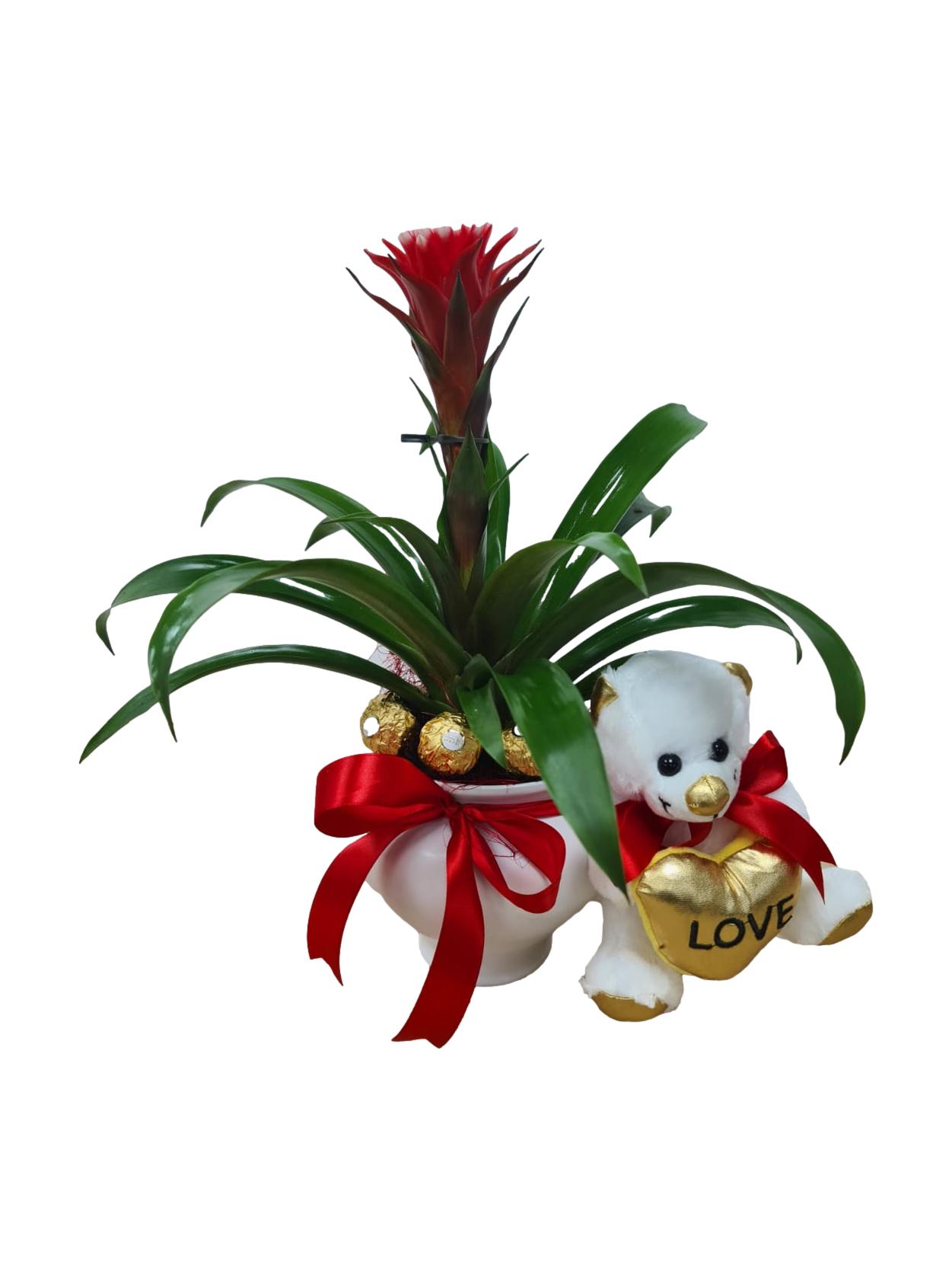 עציץ עם דובי_clipped_rev_1