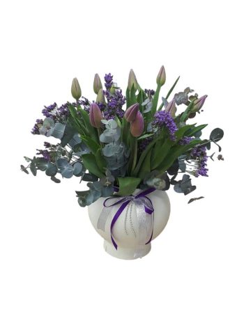 טוליפ אצילי