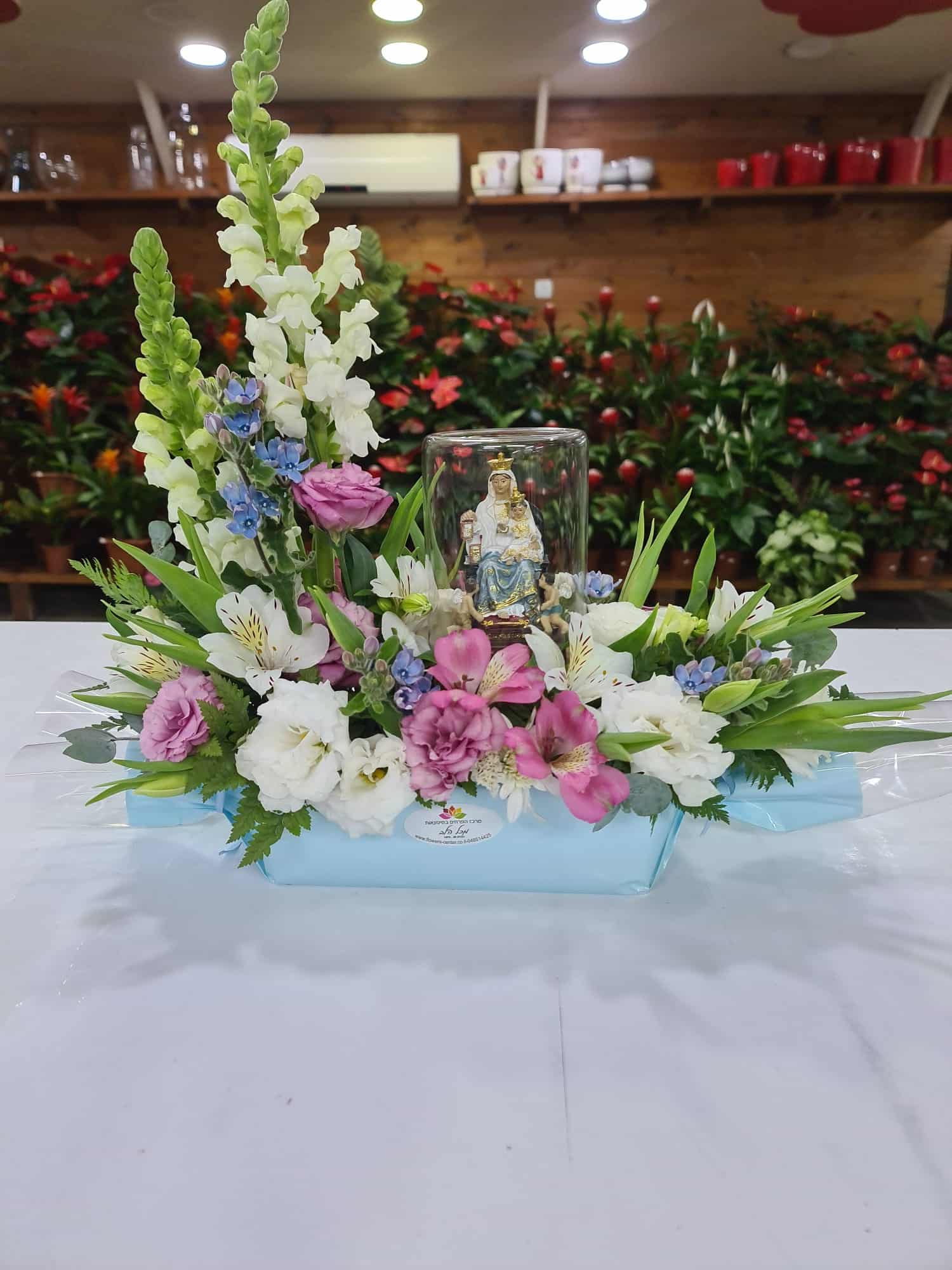 امي الحنونة 1