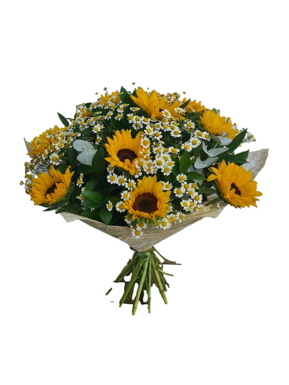 חמניות ןבבונג _clipped_rev_1