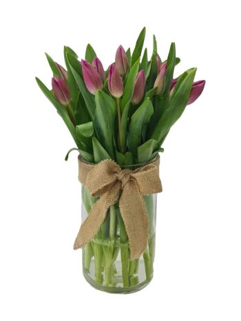 אגרטל נשימת טוליפים