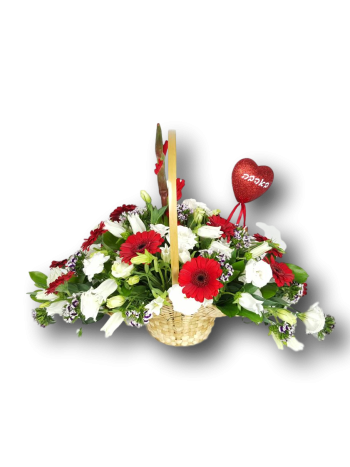 סלסלה לבן אדום